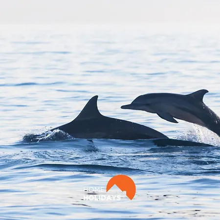 #126 T1 Vale Mangude 213 By Holidays Апартаменты