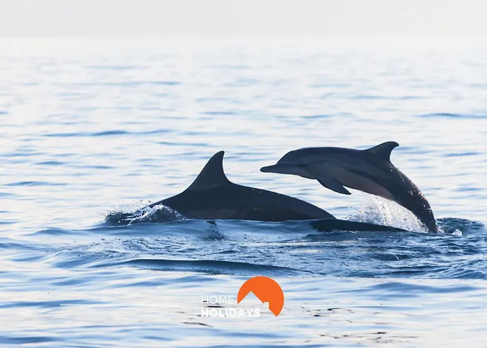 #126 T1 Vale Mangude 213 By Holidays 아파트